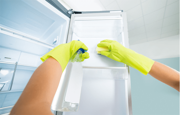 clean the freezer with cleaning fluid and sponge cloth